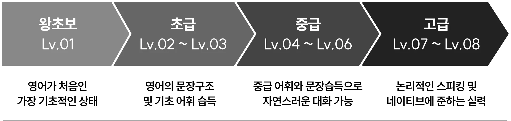 레벨 단계