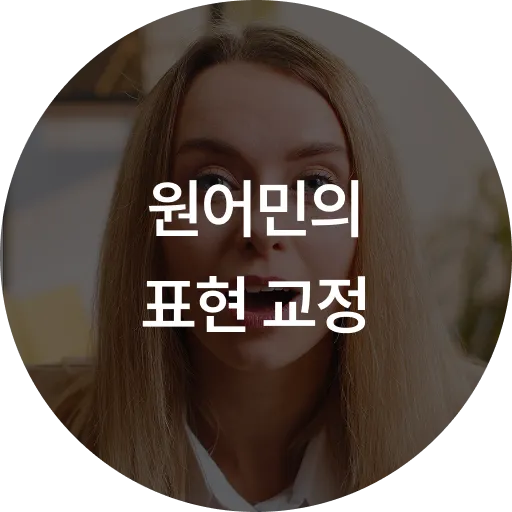 원어민의 표현 교정