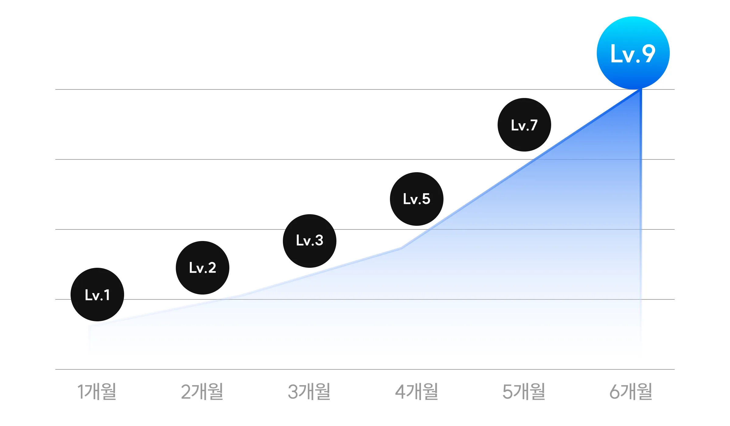성장 그래프